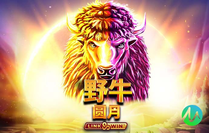 九州体育官方网站入口